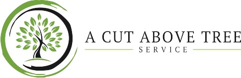 A Cut Above Tree Service Indy